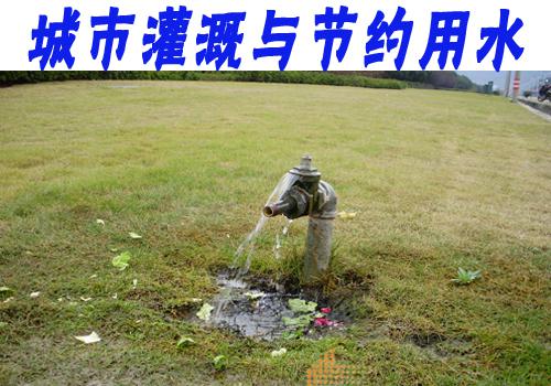 无线远传水表远程监控园林绿化用水