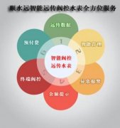 让智能远传阀控水表为您提供智能服务