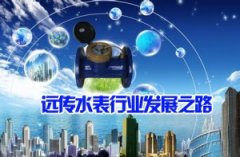 细说智能远传水表行业的发展之路