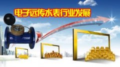 电子远传水表项目可行性