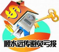 脉冲式远传水表的现状及应用