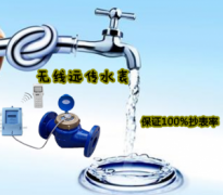 无线远传水表 保证抄表率