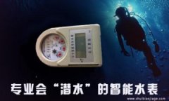 会“潜水”的智能远传水表