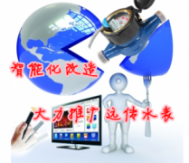 实施智能化改造 大力推广智能远传水表