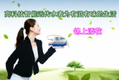 高科技智能远传水表为有滋有味的生活锦上添花