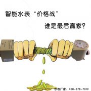 智能远传水表“价格大战”谁是赢家？
