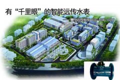 有“千里眼”的智能远传水表
