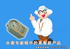 水表专家眼中的高智能产品