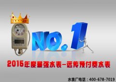 2015年度明星水表-远传预付费水表