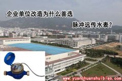 企业单位改造为什么选脉冲远传水表？