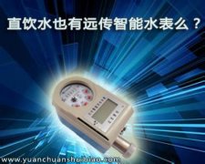 直饮水也有远传智能水表么？