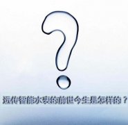 说说远传智能水表的前世今生