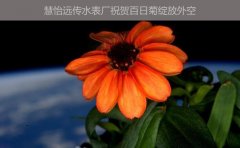 远传水表厂祝贺美宇航员在空间培育百日菊