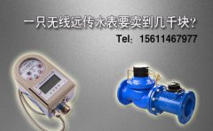 一只无线远传水表要卖到几千块？