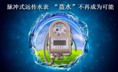 脉冲式远传水表 “盗水”不再成为可能