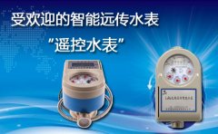 “遥控水表”受欢迎的智能远传水表