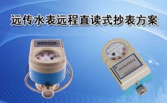 远传水表远程直读式抄表方案
