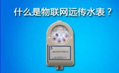 什么是物联网远传水表