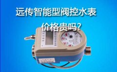 远传智能型阀控水表价格贵吗?