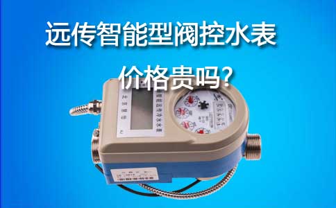 智能型阀控远传水表价格
