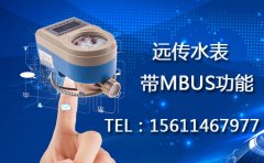 远传水表带MBUS远传功能