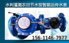 水利灌溉农田节水型智能远传水表