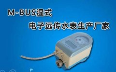 M-BUS湿式电子远传水表生产厂家