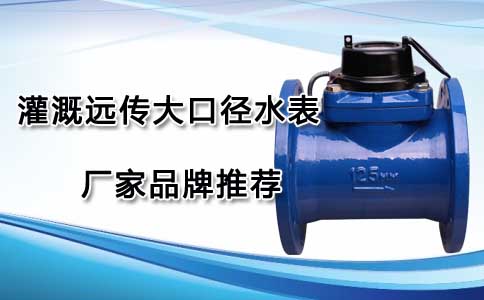 灌溉远传大口径水表