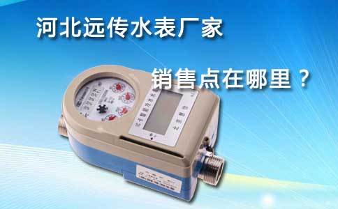河北远传水表厂家