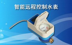 智能远程控制水表