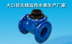 大口径无线远传水表生产厂家