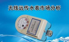 无线远传水表市场分析