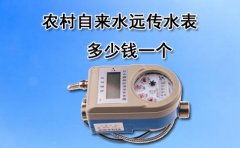 农村自来水远传水表多少钱一个