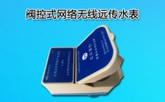 阀控式网络无线远传水表