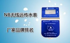 NB无线远传水表厂家排名
