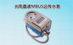 光电直读MBUS远传水表