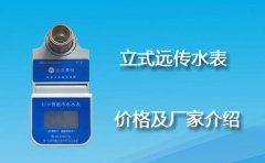 立式远传水表价格及厂家介绍