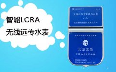 智能LORA无线远传水表厂家价格
