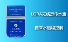 LORA无线远传水表自来水远程控制