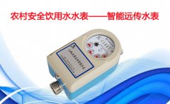 农村安全饮用水水表——智能远传水表