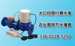 大口径预付费水表农业农田节水灌溉