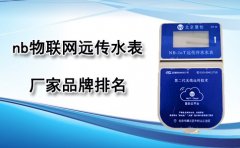 nb物联网远传水表厂家排名