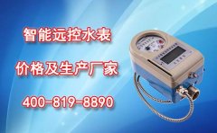 智能远控水表价格及生产厂家