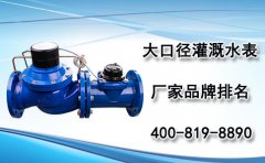 大口径灌溉远传水表价格及厂家