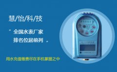 全国水表厂家排名