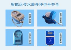 远程集抄监控远传水表