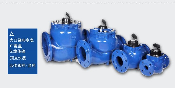 大口径远传水表