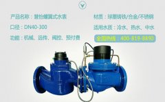 工业高精度大口径远传水表