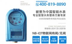 自来水计量水表
