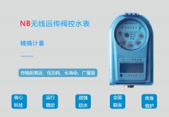 NB-IOT无线远传水表厂家知名品牌